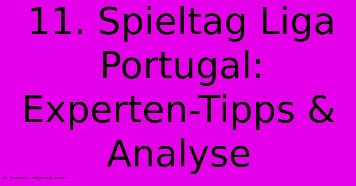 11. Spieltag Liga Portugal: Experten-Tipps & Analyse