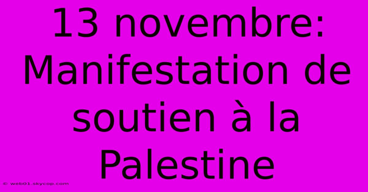 13 Novembre: Manifestation De Soutien À La Palestine