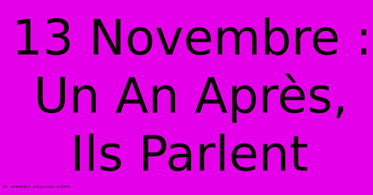 13 Novembre : Un An Après, Ils Parlent