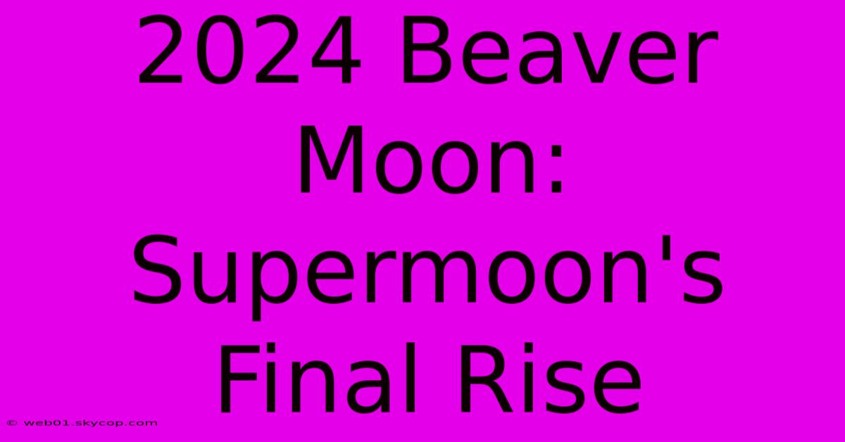 2024 Beaver Moon: Supermoon's Final Rise