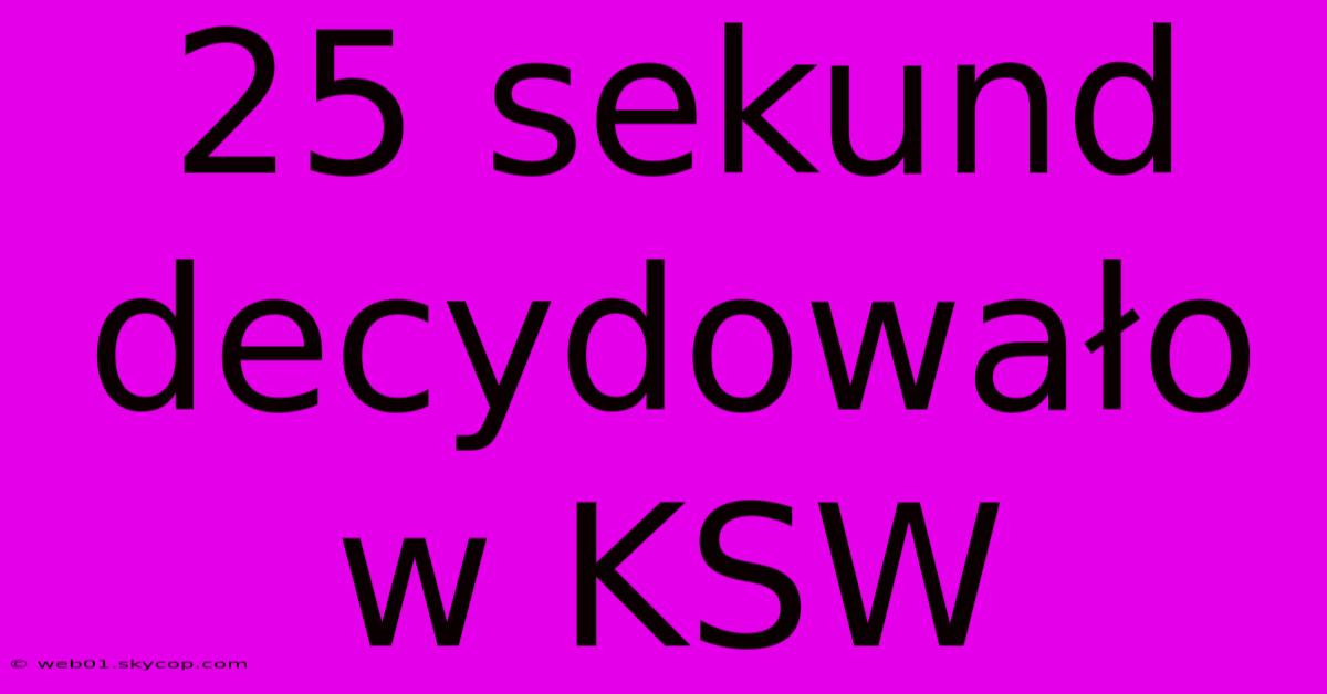 25 Sekund Decydowało W KSW