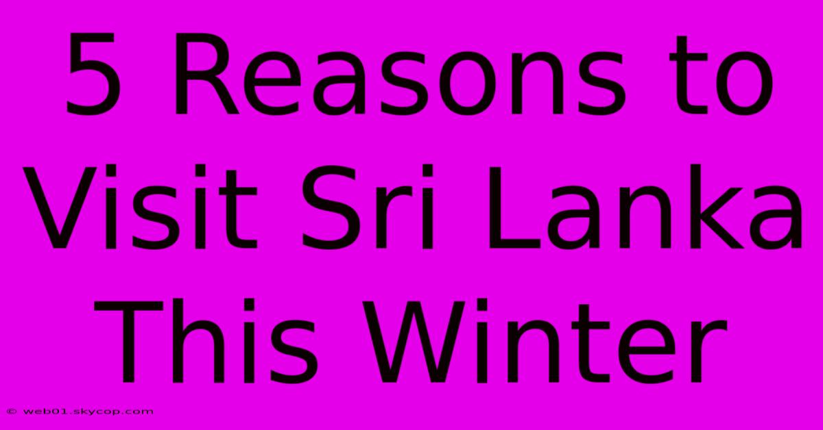 5 Reasons To Visit Sri Lanka This Winter