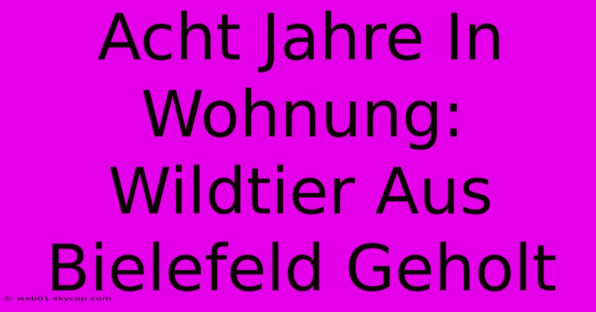 Acht Jahre In Wohnung: Wildtier Aus Bielefeld Geholt 