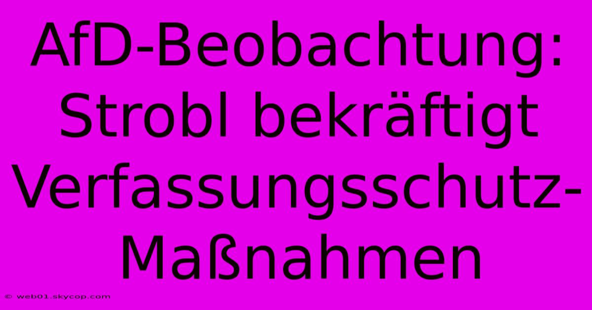 AfD-Beobachtung: Strobl Bekräftigt Verfassungsschutz-Maßnahmen 