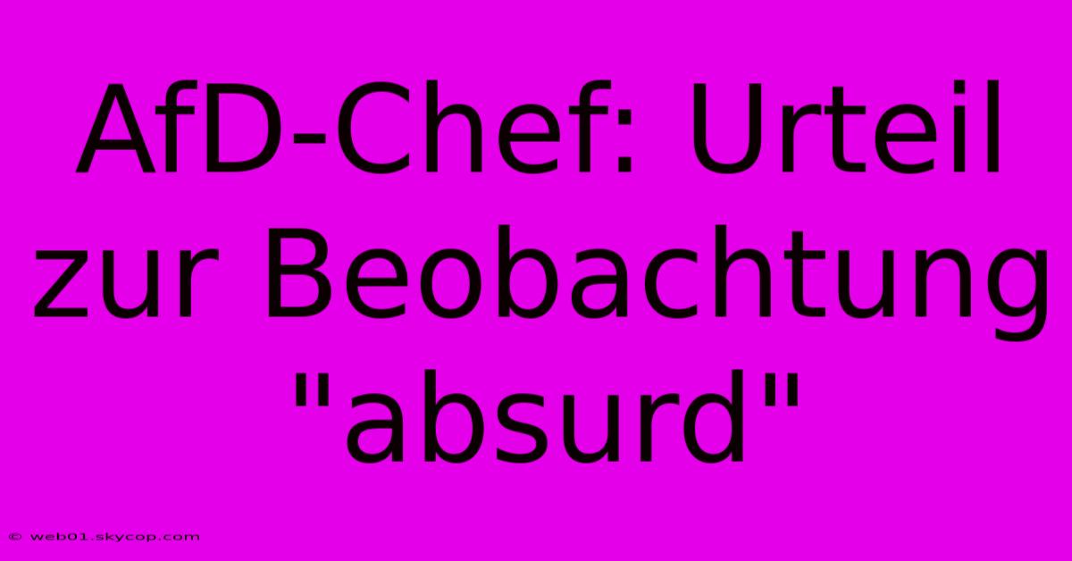 AfD-Chef: Urteil Zur Beobachtung 