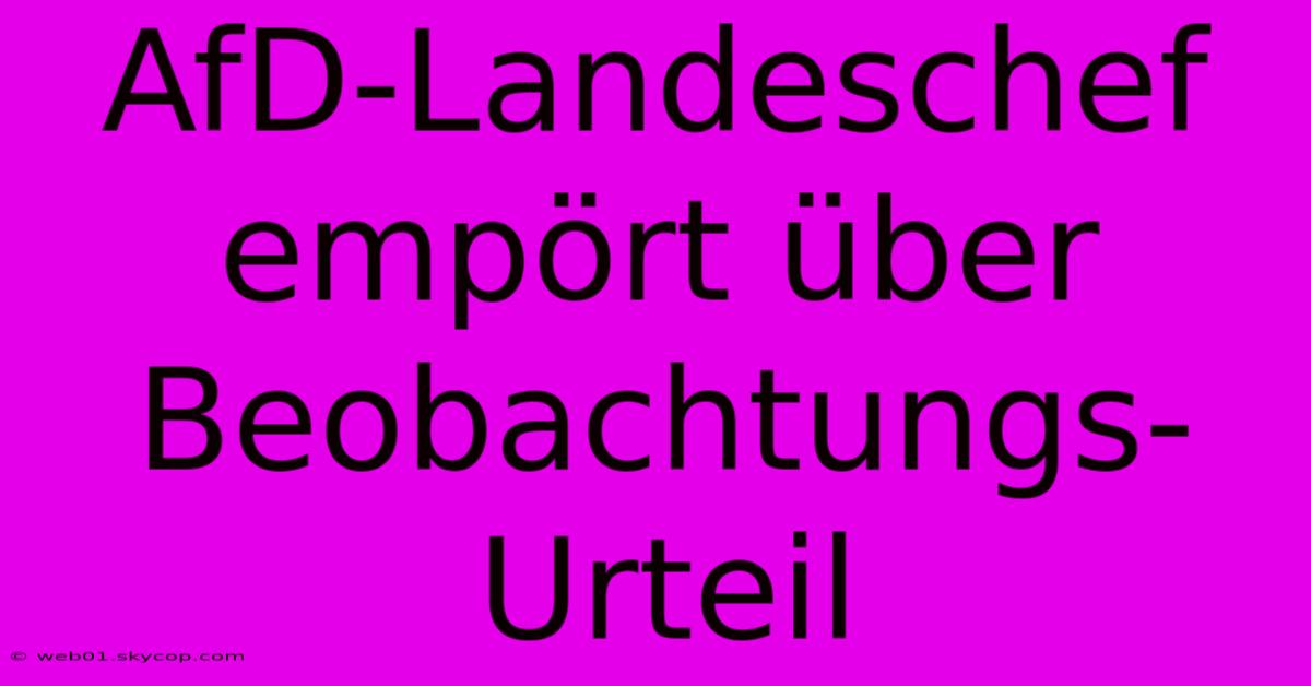 AfD-Landeschef Empört Über Beobachtungs-Urteil