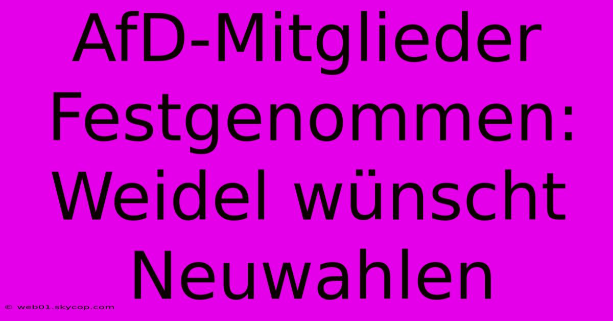 AfD-Mitglieder Festgenommen: Weidel Wünscht Neuwahlen