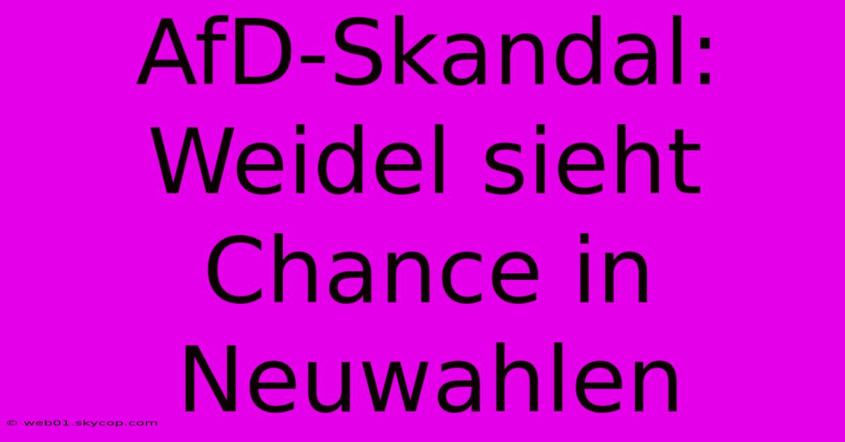 AfD-Skandal: Weidel Sieht Chance In Neuwahlen