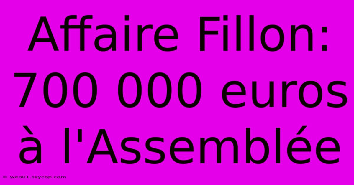 Affaire Fillon: 700 000 Euros À L'Assemblée