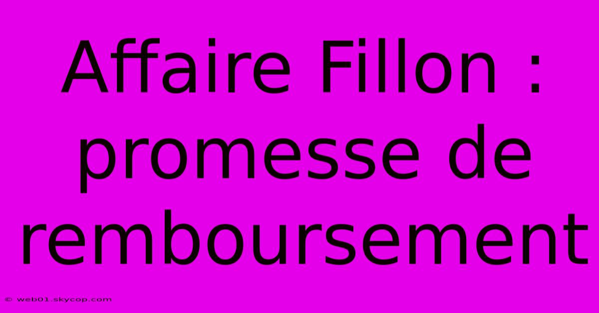 Affaire Fillon : Promesse De Remboursement