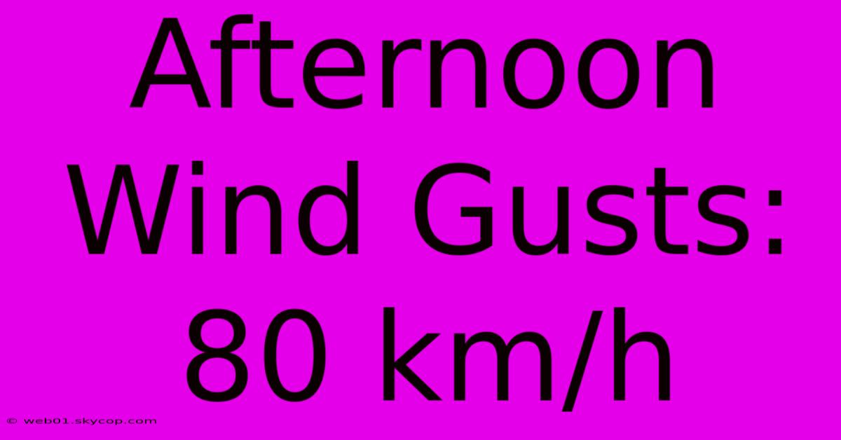 Afternoon Wind Gusts: 80 Km/h