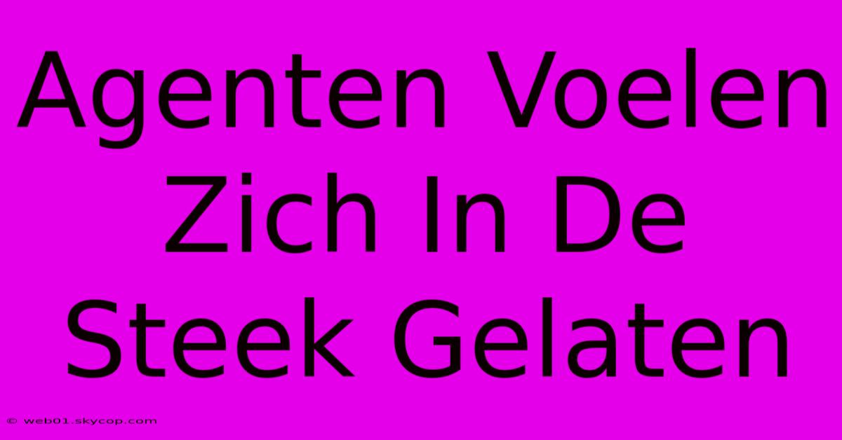 Agenten Voelen Zich In De Steek Gelaten