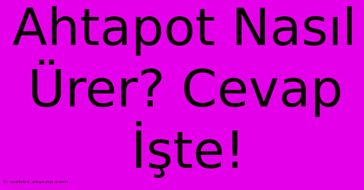 Ahtapot Nasıl Ürer? Cevap İşte!