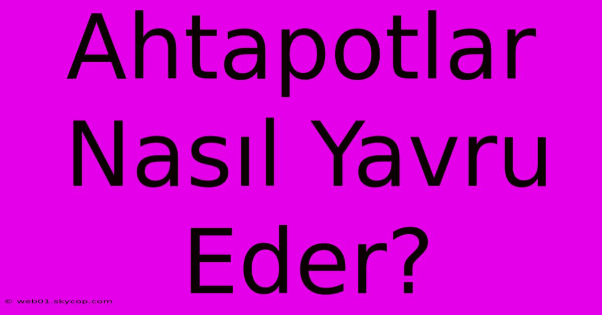 Ahtapotlar Nasıl Yavru Eder?