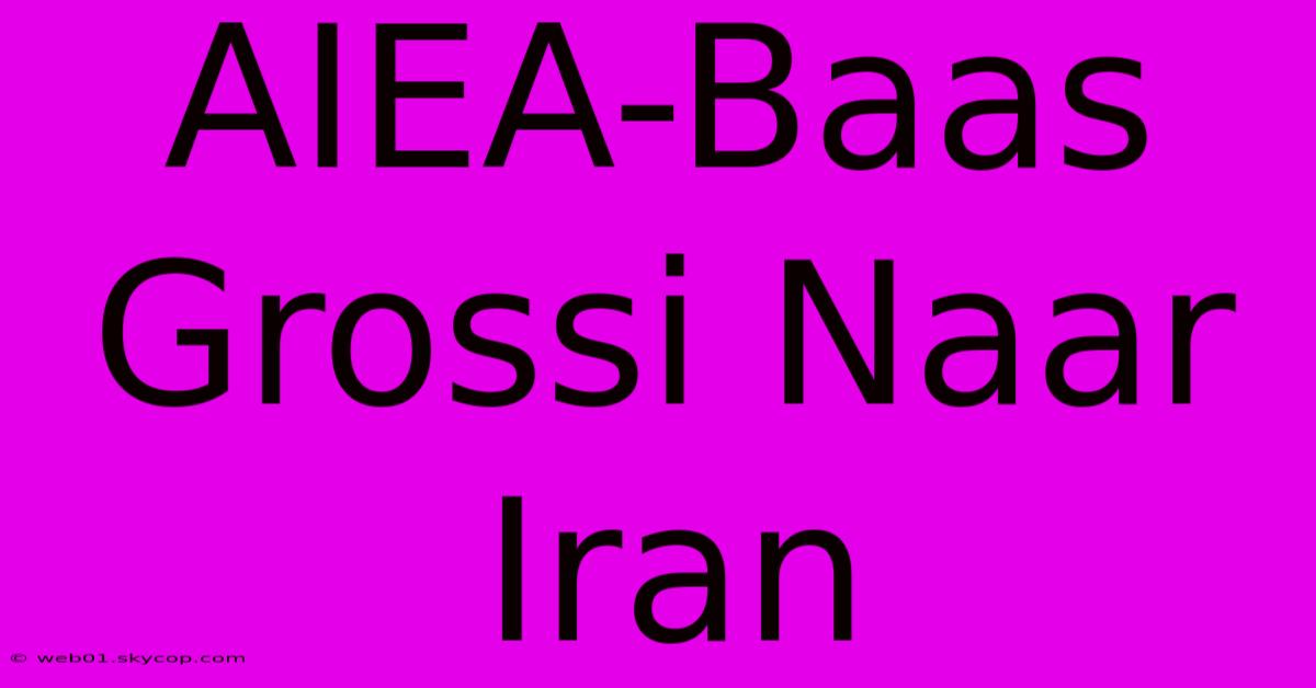 AIEA-Baas Grossi Naar Iran