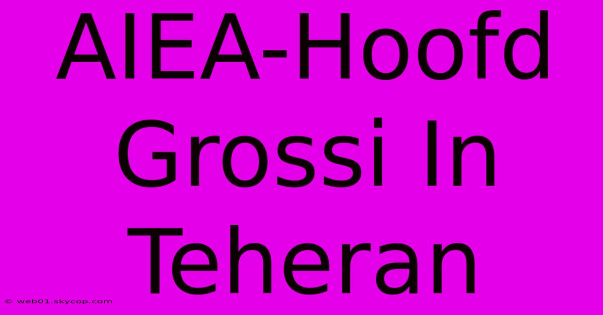 AIEA-Hoofd Grossi In Teheran 