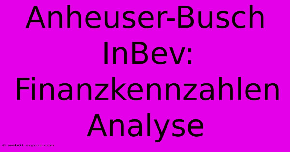 Anheuser-Busch InBev: Finanzkennzahlen Analyse