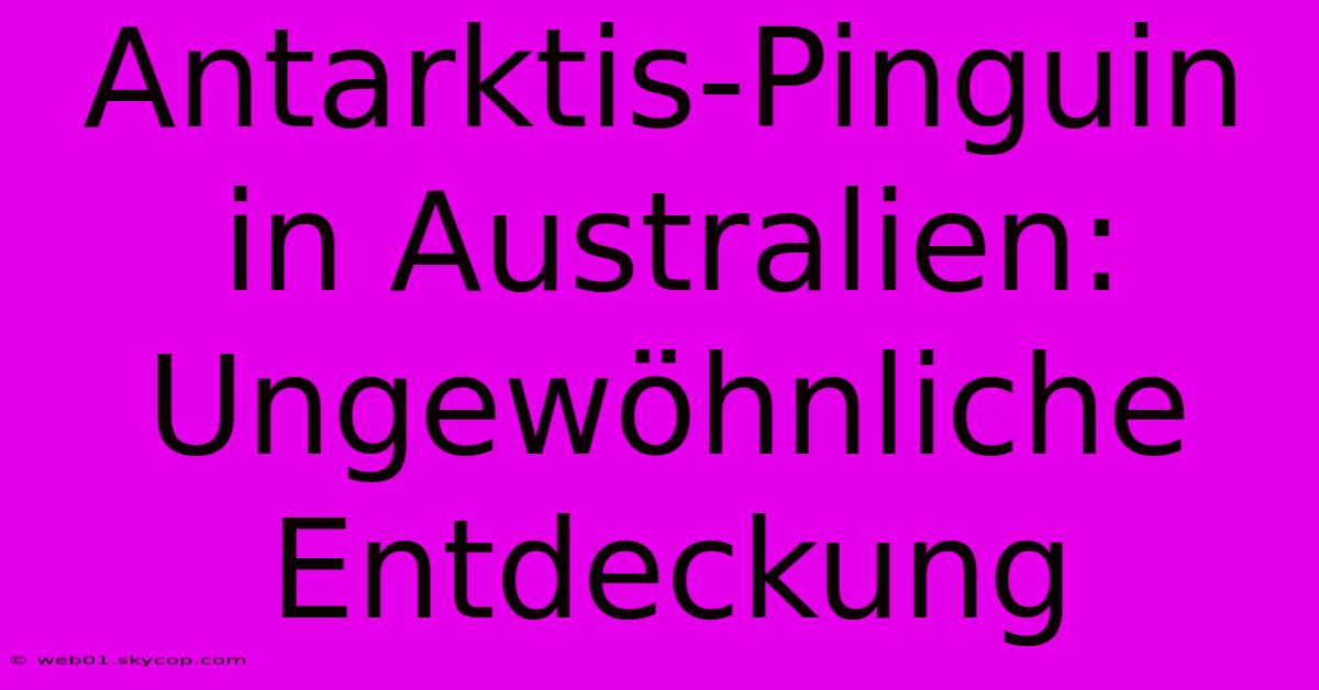 Antarktis-Pinguin In Australien: Ungewöhnliche Entdeckung