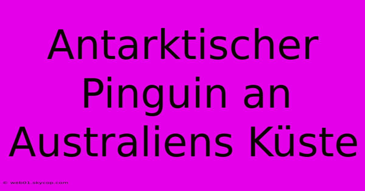 Antarktischer Pinguin An Australiens Küste