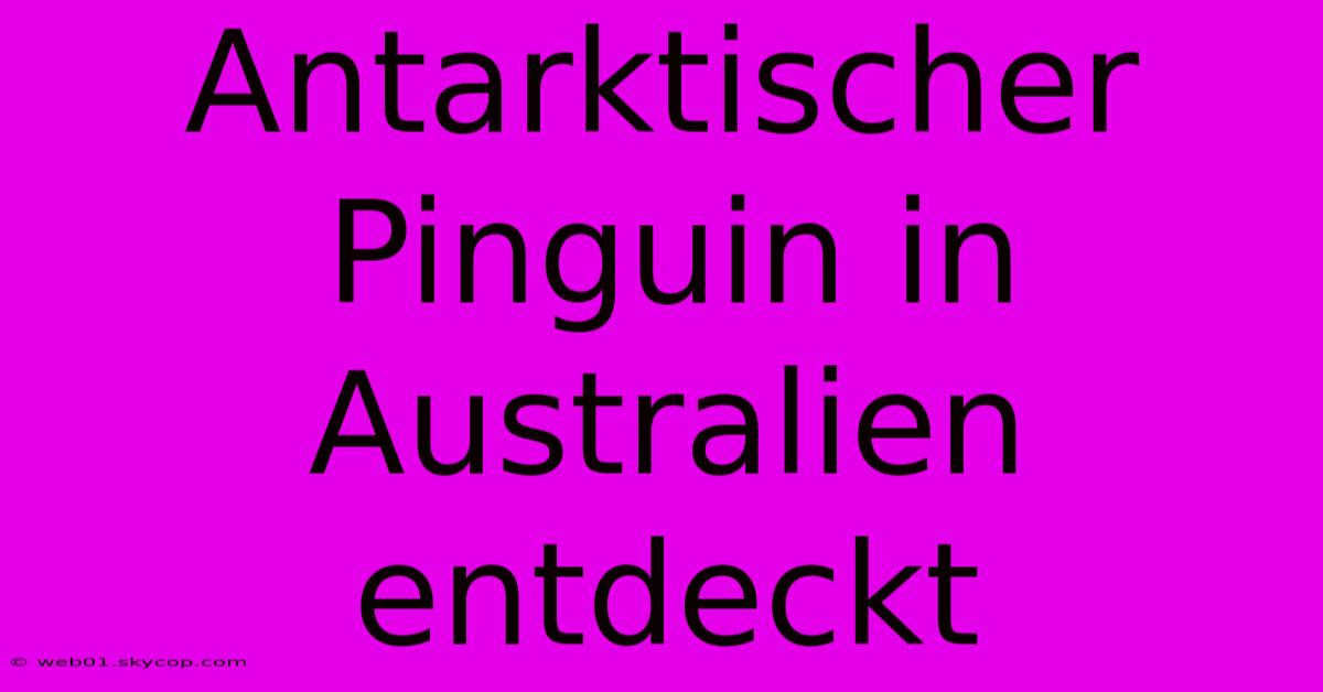 Antarktischer Pinguin In Australien Entdeckt