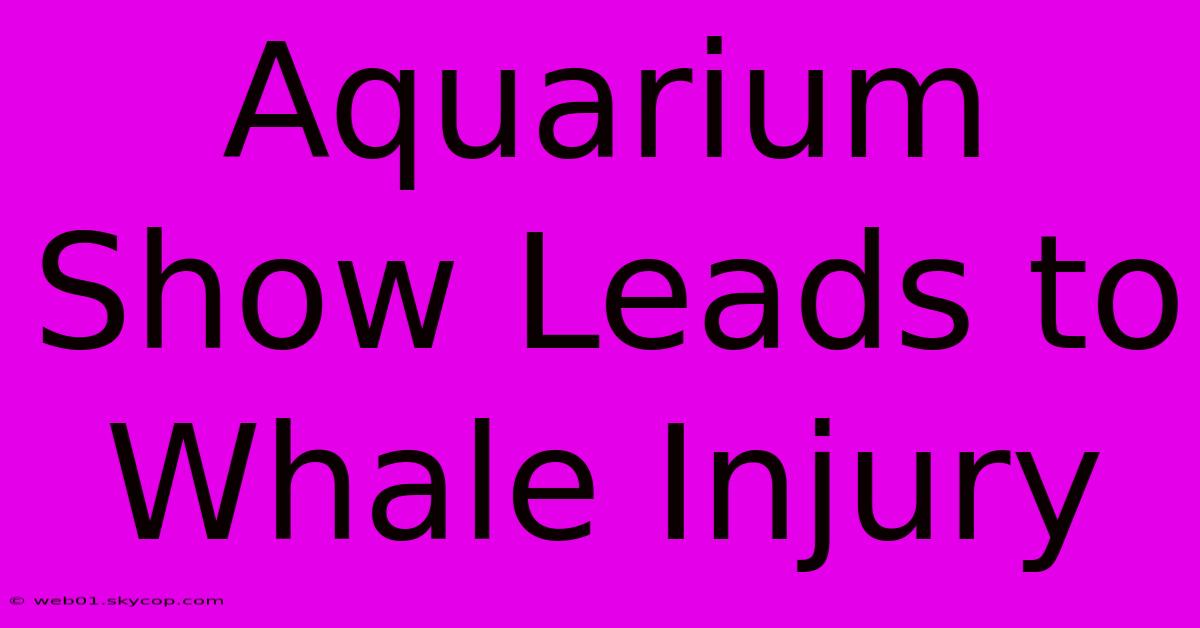 Aquarium Show Leads To Whale Injury