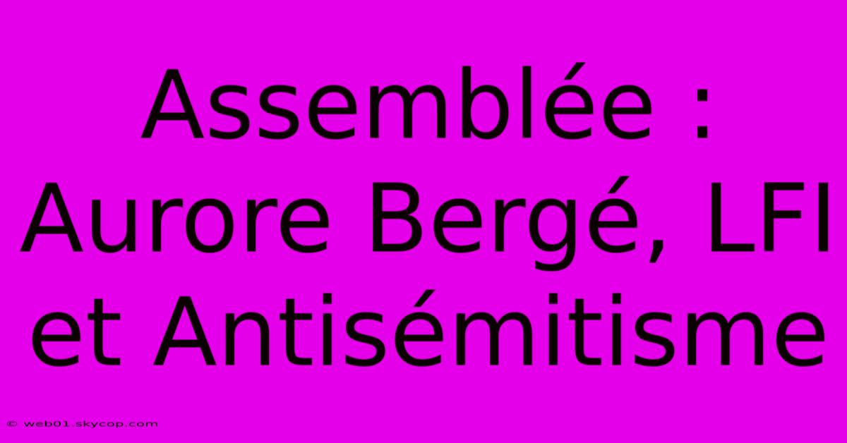 Assemblée : Aurore Bergé, LFI Et Antisémitisme