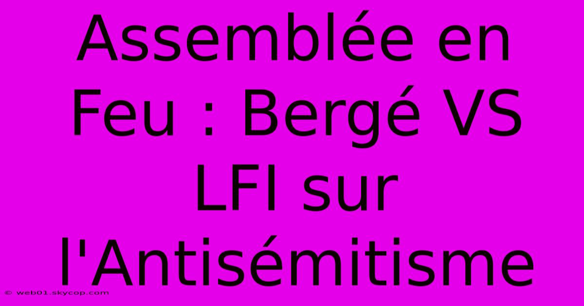 Assemblée En Feu : Bergé VS LFI Sur L'Antisémitisme