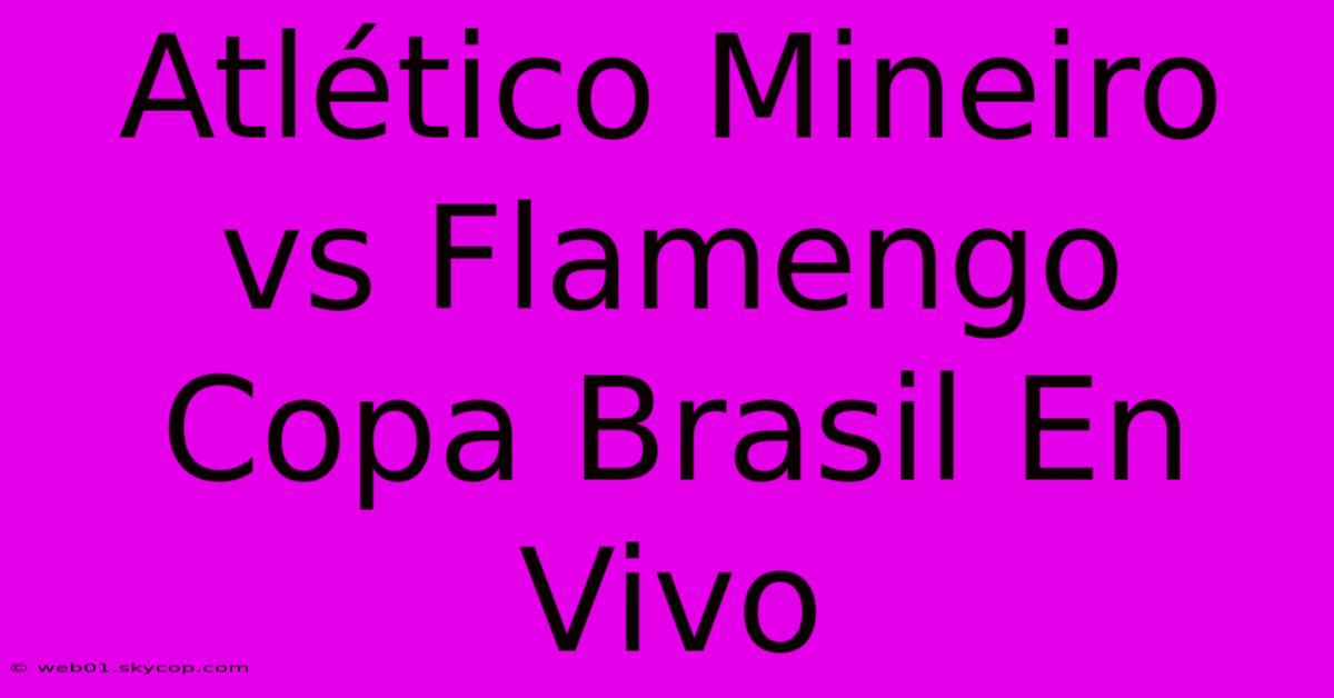 Atlético Mineiro Vs Flamengo Copa Brasil En Vivo