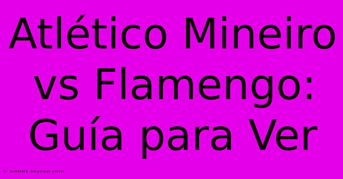 Atlético Mineiro Vs Flamengo: Guía Para Ver