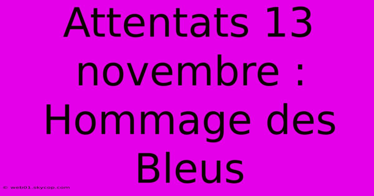 Attentats 13 Novembre : Hommage Des Bleus