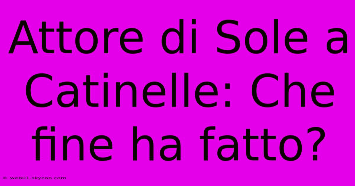 Attore Di Sole A Catinelle: Che Fine Ha Fatto?