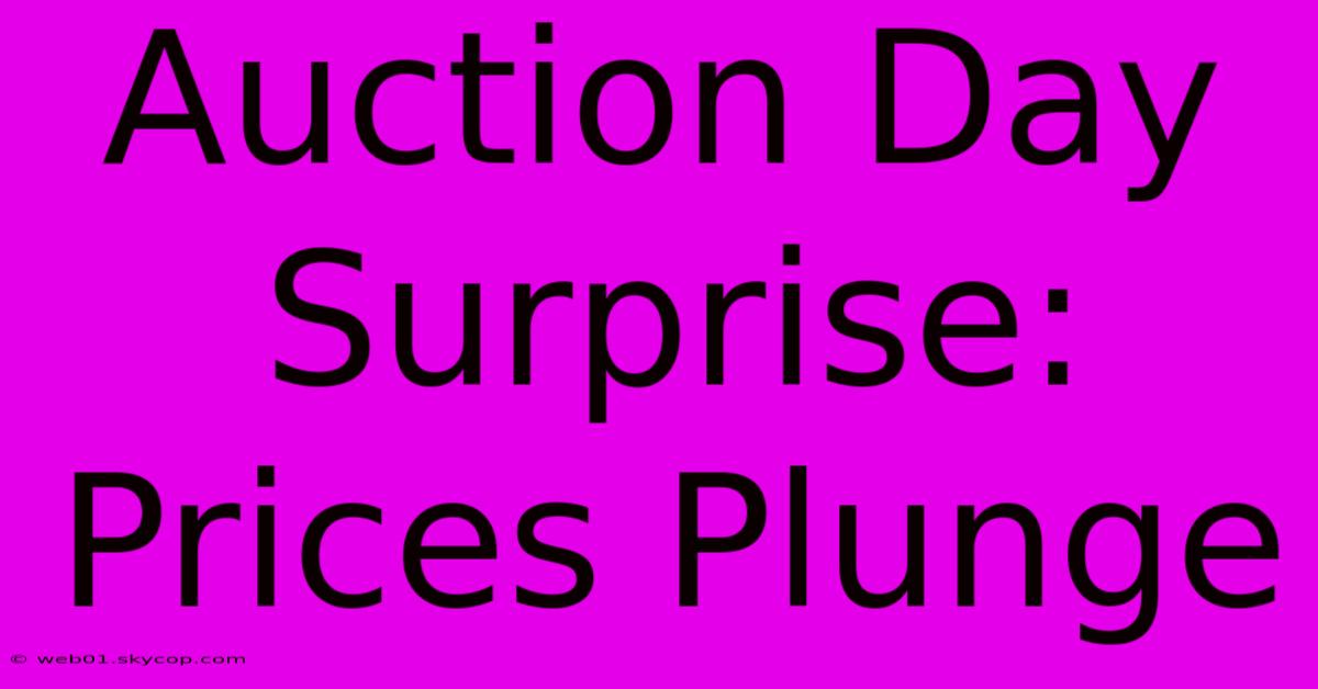 Auction Day Surprise: Prices Plunge