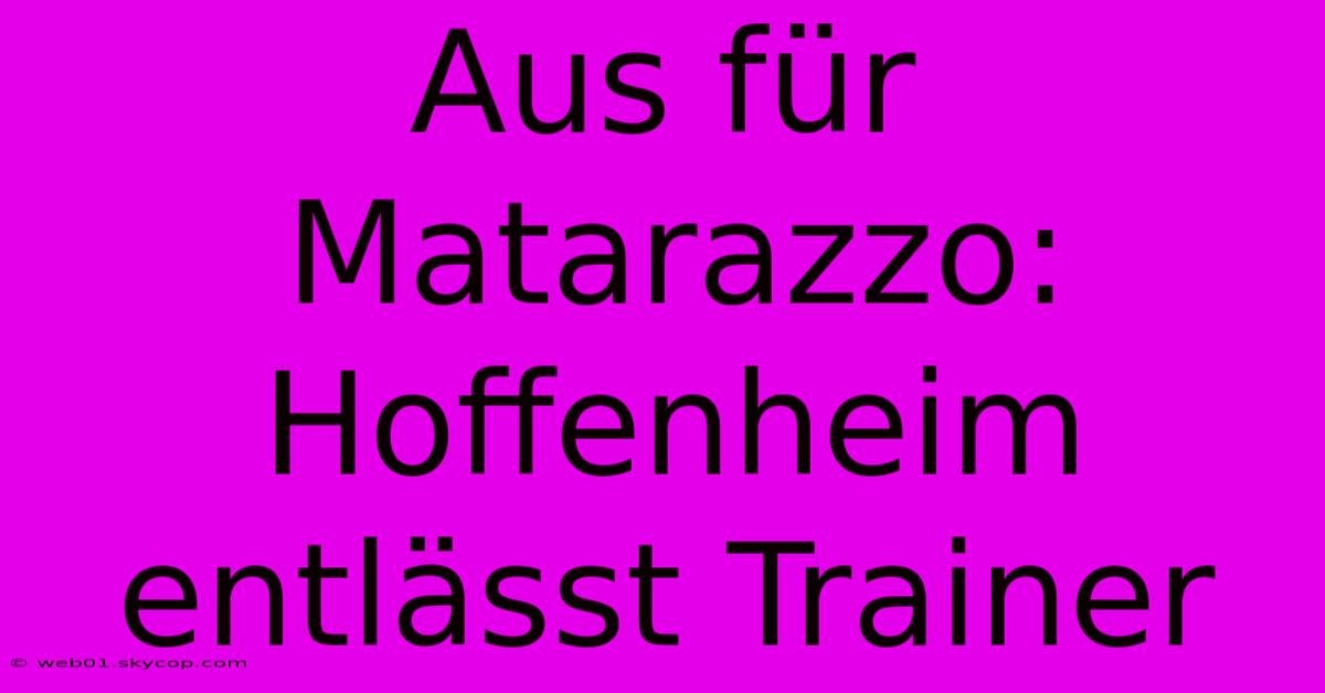 Aus Für Matarazzo: Hoffenheim Entlässt Trainer