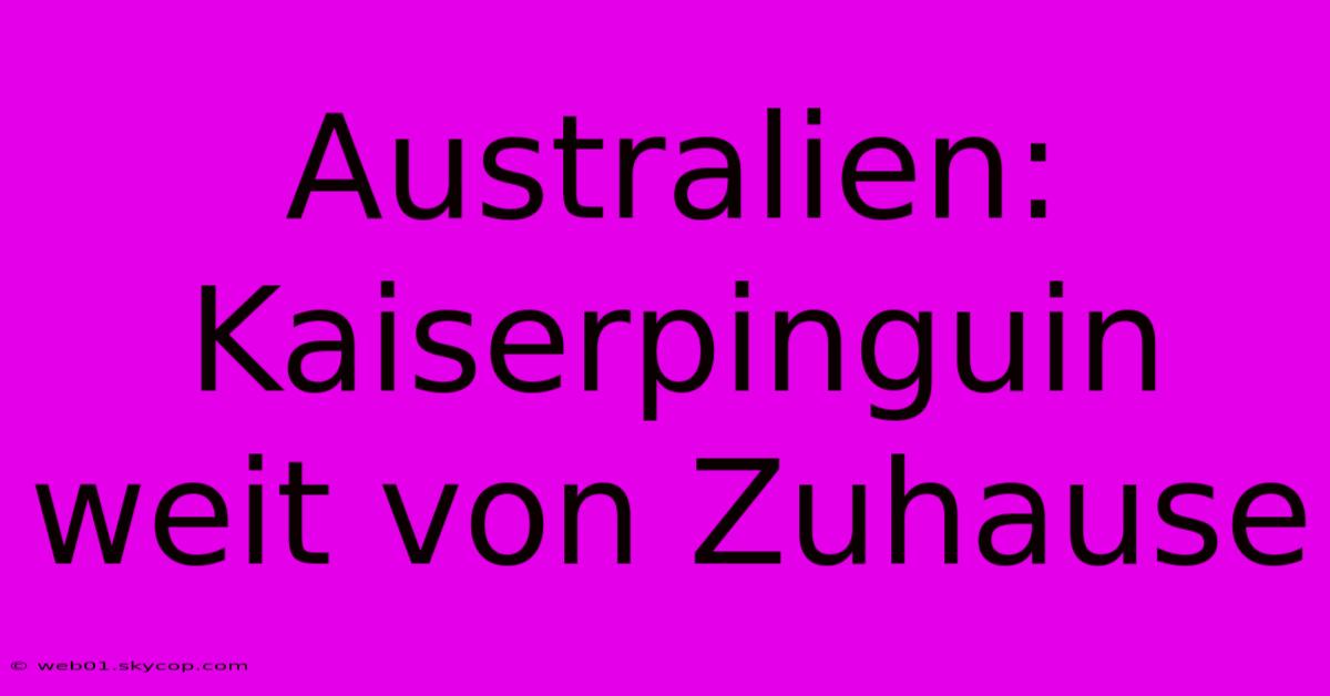 Australien: Kaiserpinguin Weit Von Zuhause