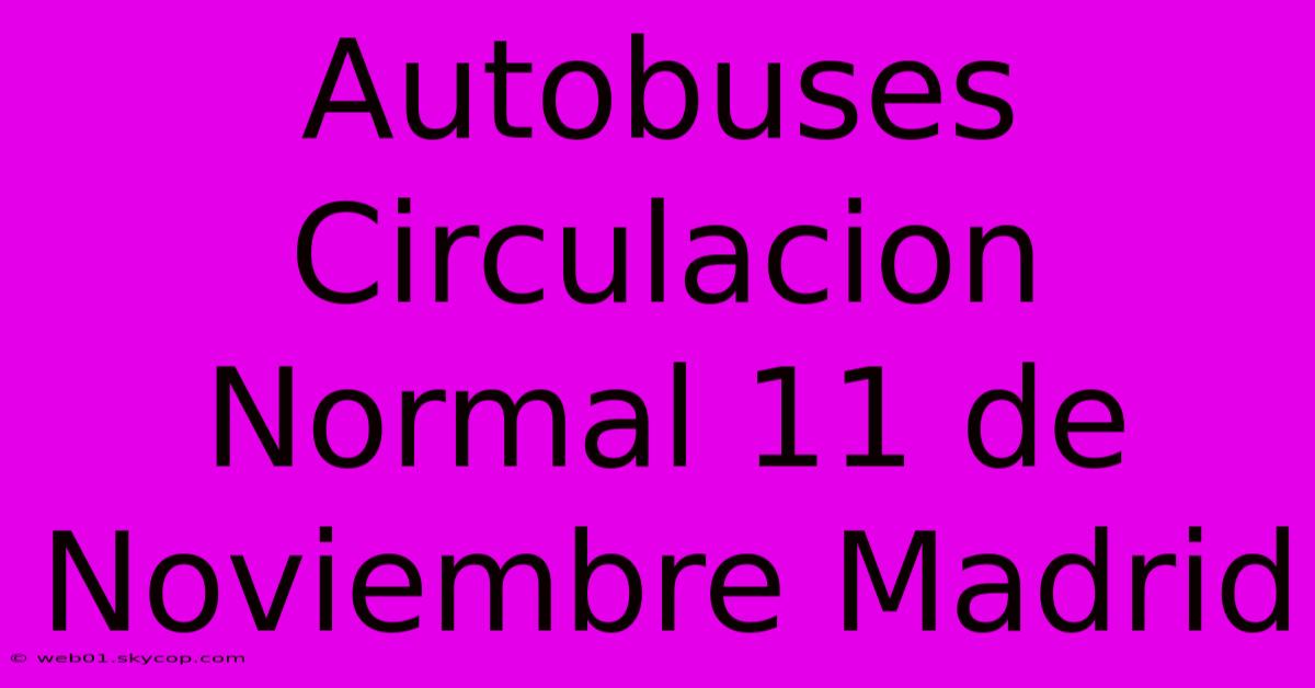 Autobuses Circulacion Normal 11 De Noviembre Madrid