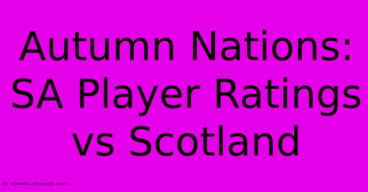 Autumn Nations: SA Player Ratings Vs Scotland