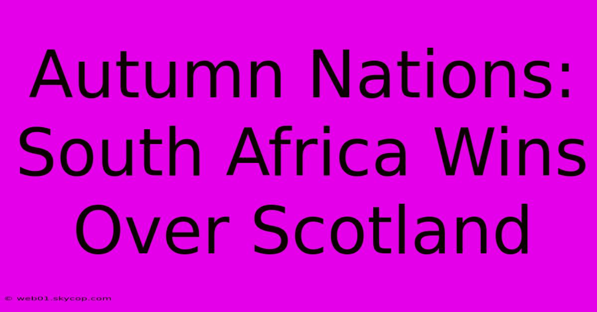 Autumn Nations: South Africa Wins Over Scotland