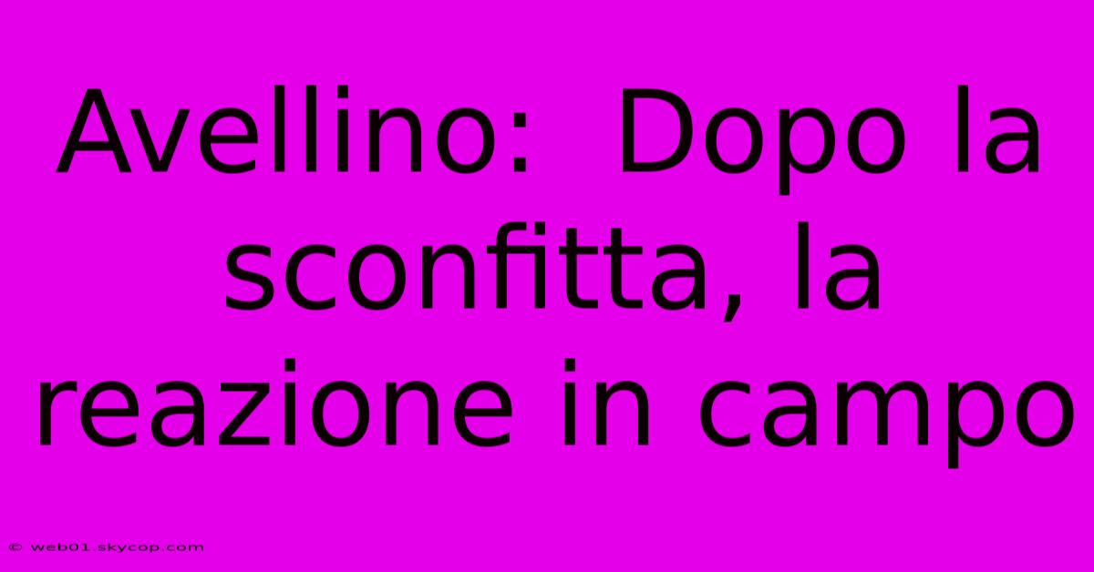 Avellino:  Dopo La Sconfitta, La Reazione In Campo