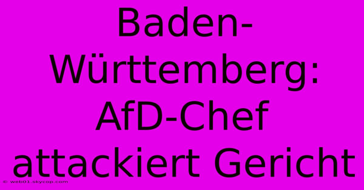 Baden-Württemberg: AfD-Chef Attackiert Gericht 