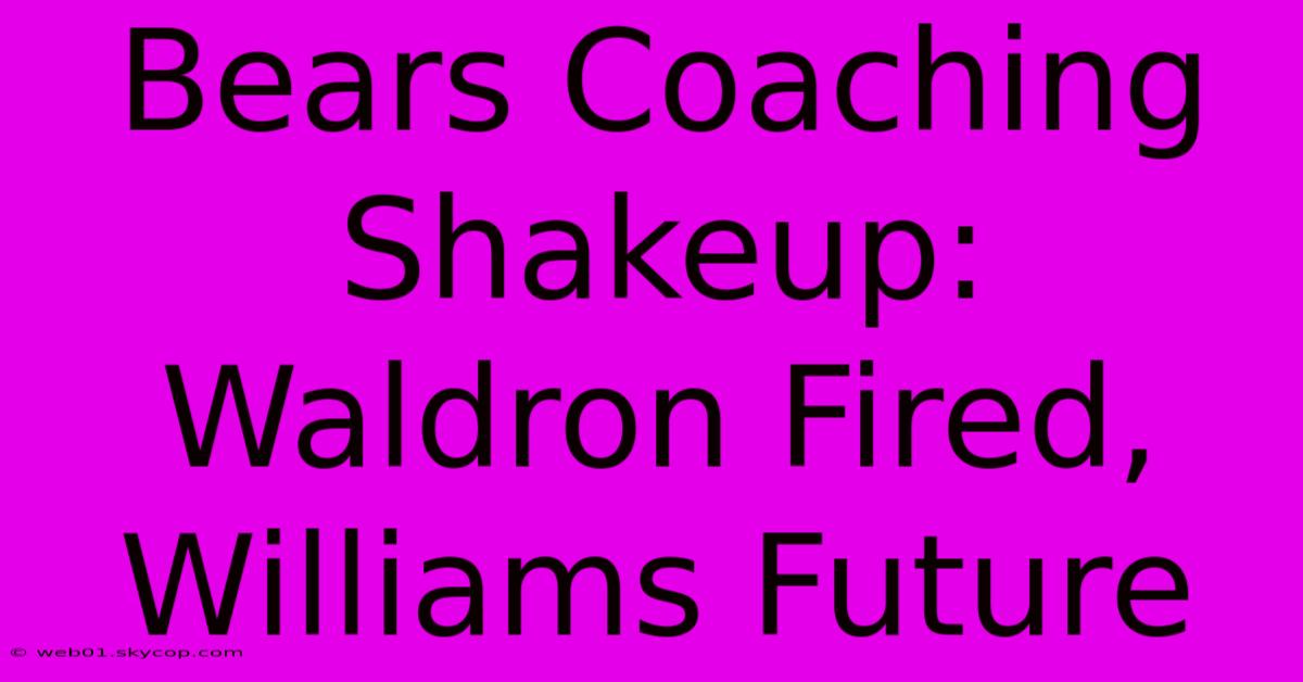 Bears Coaching Shakeup: Waldron Fired, Williams Future