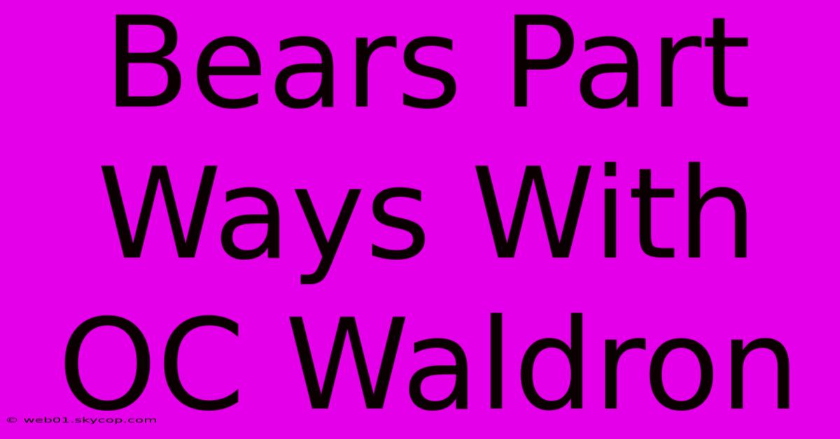 Bears Part Ways With OC Waldron