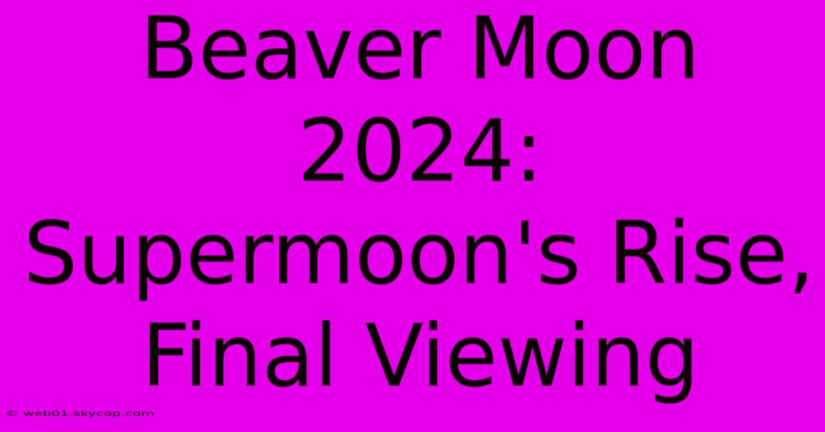 Beaver Moon 2024: Supermoon's Rise, Final Viewing