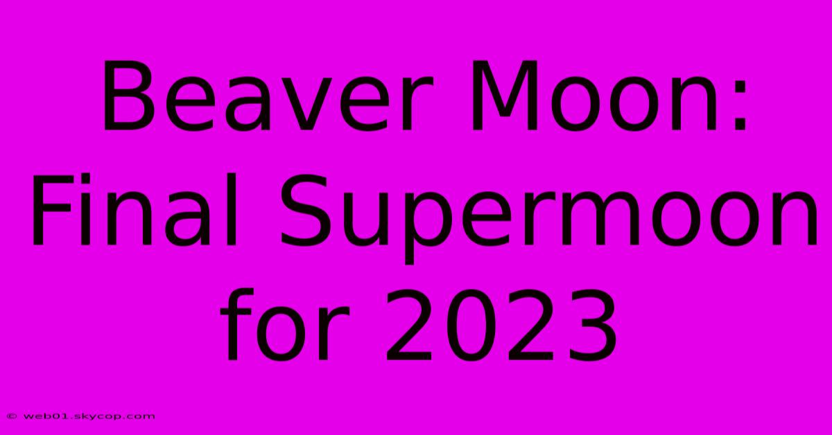 Beaver Moon: Final Supermoon For 2023