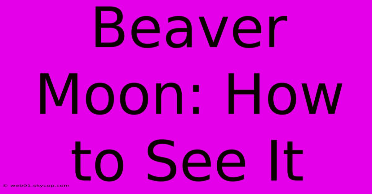 Beaver Moon: How To See It