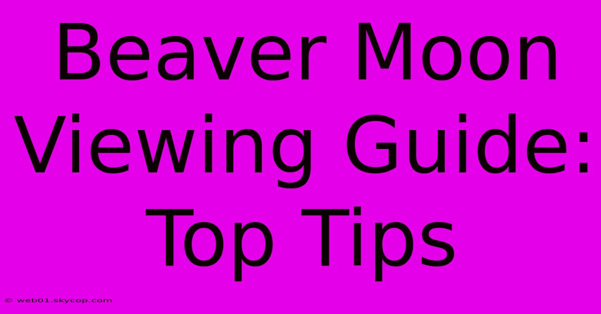 Beaver Moon Viewing Guide: Top Tips