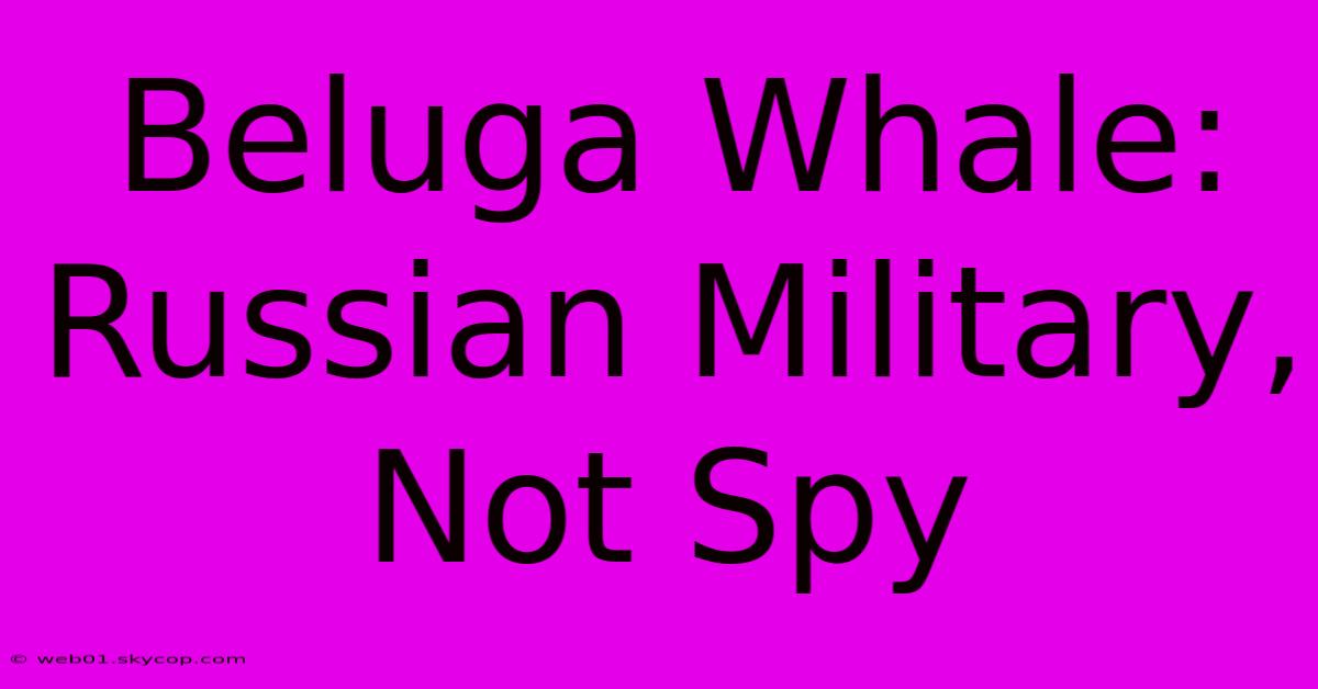 Beluga Whale: Russian Military, Not Spy 