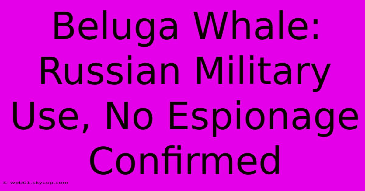 Beluga Whale: Russian Military Use, No Espionage Confirmed 