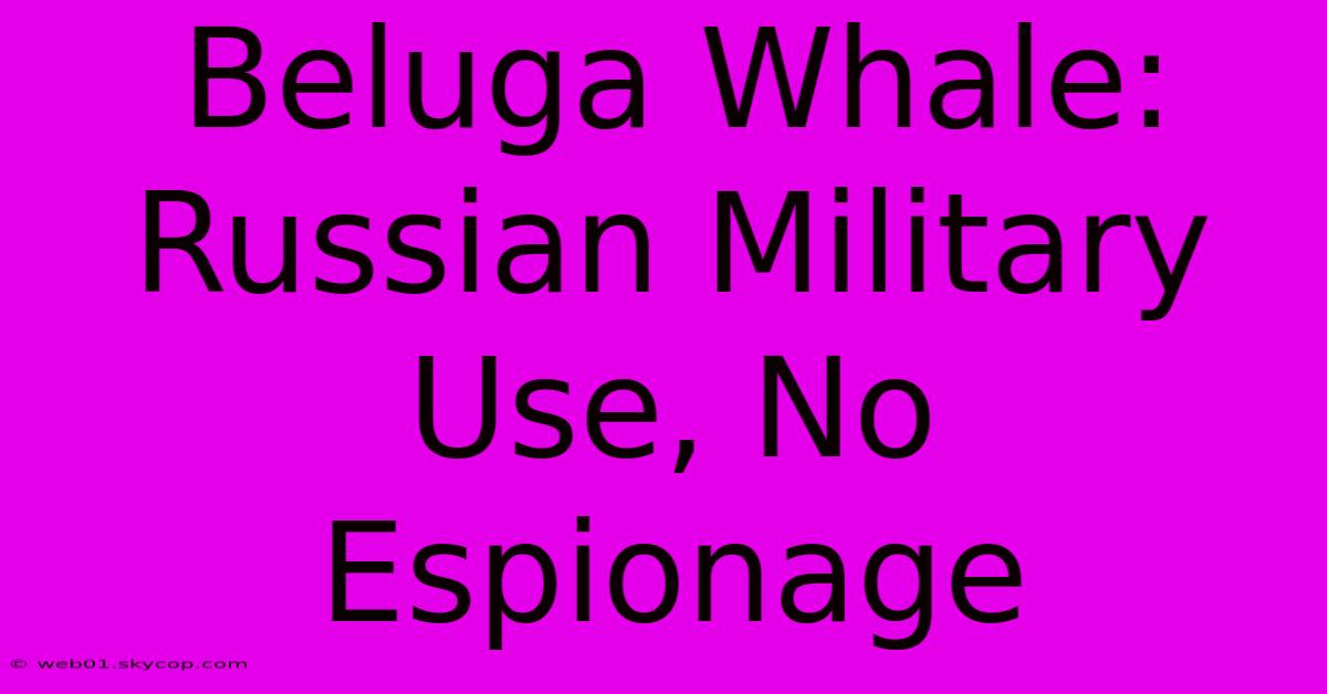 Beluga Whale: Russian Military Use, No Espionage