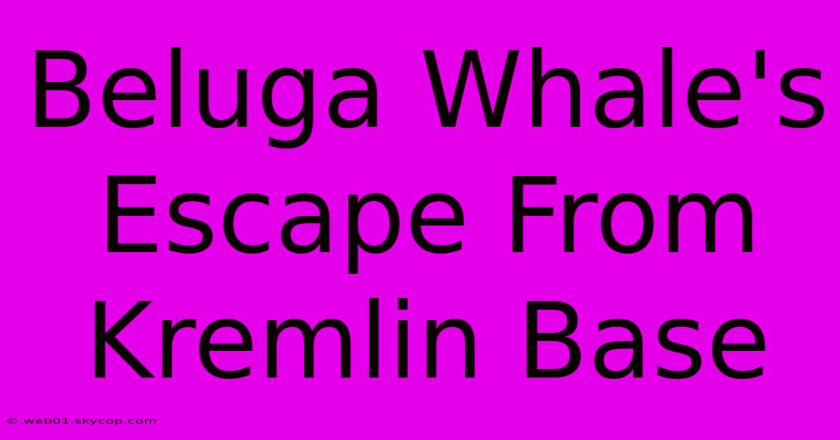 Beluga Whale's Escape From Kremlin Base 