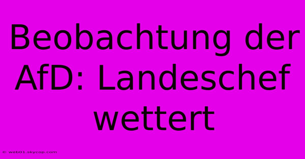 Beobachtung Der AfD: Landeschef Wettert